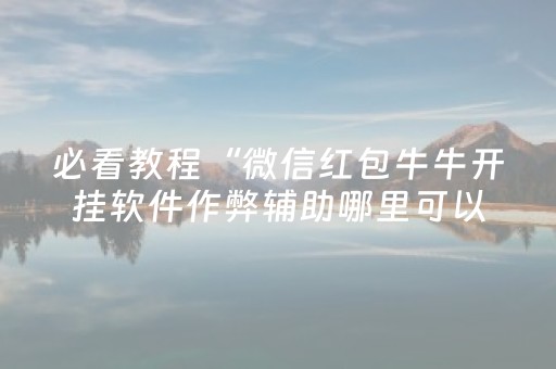 超绝软件工具!星悦山东麻将到底究竟有没有挂(攻略插件)