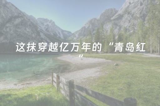 速来体验神器!微信十三张辅助免费(助攻神器)