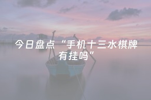 今日盘点“手机十三水棋牌有挂吗”（详细开挂教程）-哔哩哔哩