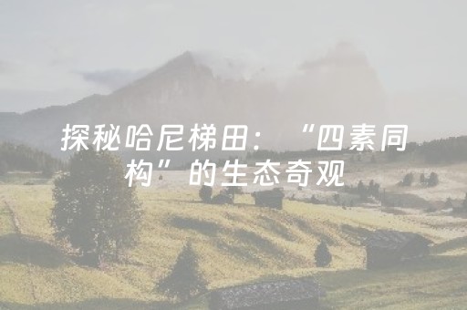 超带感的神器!广东闲来麻将隐藏规律(怎么提高胡牌率)