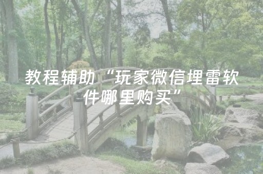 教程辅助“玩家微信埋雷软件哪里购买”（详细透视教程）-哔哩哔哩