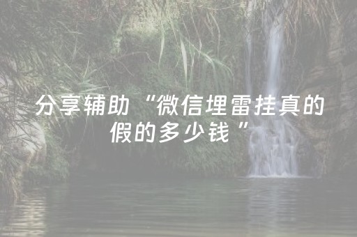 分享辅助“微信埋雷挂真的假的多少钱 ”（详细透视教程）-哔哩哔哩