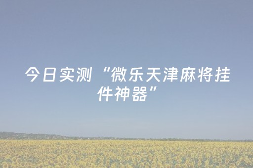 今日实测“微乐天津麻将挂件神器”（详细辅助教程）-哔哩哔哩