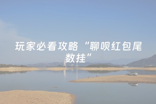 玩家必看攻略“聊呗红包尾数挂”（详细透视教程）-哔哩哔哩