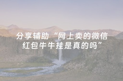 分享辅助“网上卖的微信红包牛牛挂是真的吗”（详细透视教程）-哔哩哔哩