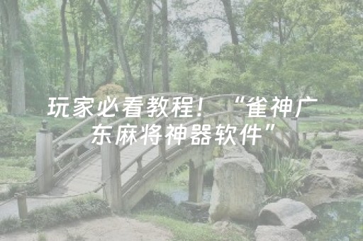 玩家必看教程！“雀神广东麻将神器软件”（详细开挂教程）-哔哩哔哩