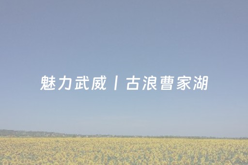 神器非它莫属!兴动爱摩罗麻将挂(插件开挂免费AI)