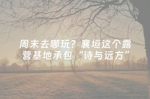 神器实力担当!微乐河南麻将铺牌器(助手神器外辅工具)