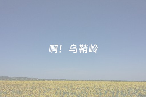 超炫软件神器哦!微乐陕西麻将插件购买(怎么让系统给好牌)