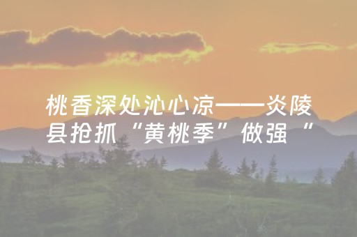 必存软件神器!兴动海满麻将有猫腻吗(怎么玩赢几率大)