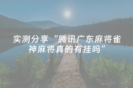 实测分享“腾讯广东麻将雀神麻将真的有挂吗”（详细辅助教程）-哔哩哔哩