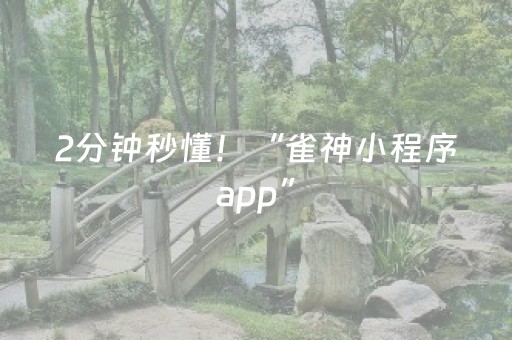 2分钟秒懂！“雀神小程序app”（详细辅助教程）-哔哩哔哩