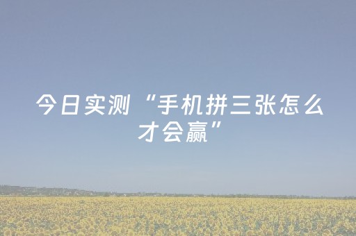 今日实测“手机拼三张怎么才会赢”（详细辅助教程）-哔哩哔哩