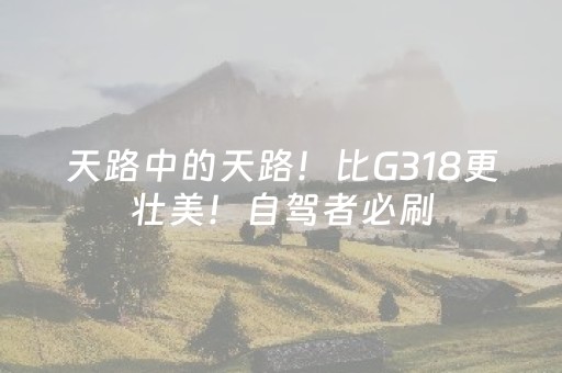 神器功能超绝!微乐陕西麻将怎么才能拿到好牌(为啥一直输)