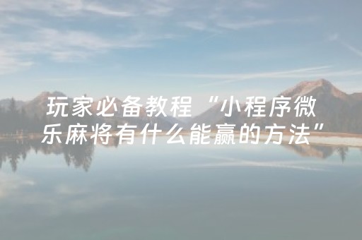 玩家必备教程“小程序微乐麻将有什么能赢的方法”（详细透视教程）-哔哩哔哩