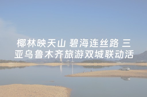 椰林映天山 碧海连丝路 三亚乌鲁木齐旅游双城联动活动启幕