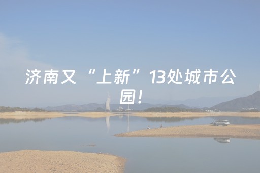 必用软件神器!白金岛字牌集透明挂(为什么老是输呢)