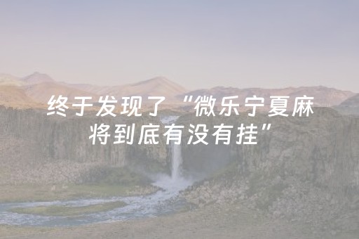 终于发现了“微乐宁夏麻将到底有没有挂”（详细透视教程）-哔哩哔哩