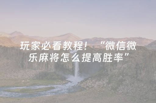 玩家必看教程！“微信微乐麻将怎么提高胜率”（详细开挂教程）-哔哩哔哩
