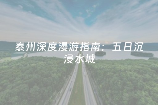 超神软件佳作!手机麻将软挂神器(小程序控牌器)