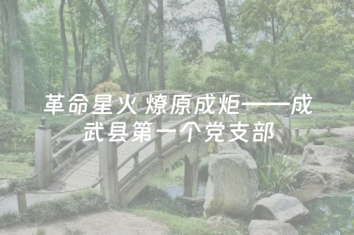 必装软件神器呀!邯郸胡乐麻将神器挂(怎么让系统发好牌)