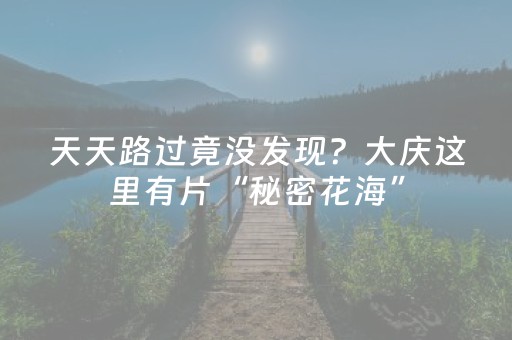 超燃软件神器!八闽十三水是不是有挂吗(怎么调整胜率)