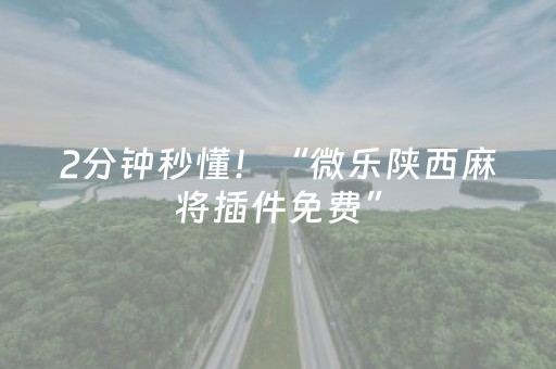 2分钟秒懂！“微乐陕西麻将插件免费”（详细辅助教程）-哔哩哔哩