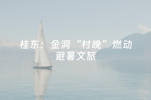 桂东：金洞“村晚”燃动避暑文旅