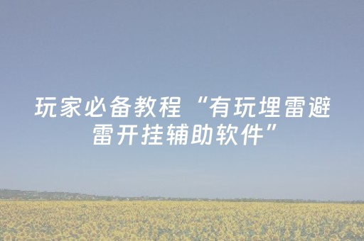 玩家必备教程“有玩埋雷避雷开挂辅助软件”（详细透视教程）-哔哩哔哩