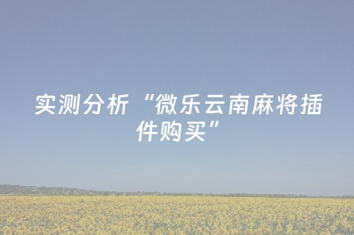 实测分析“微乐云南麻将插件购买”（详细透视教程）-哔哩哔哩