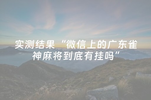 实测结果“微信上的广东雀神麻将到底有挂吗”（详细透视教程）-哔哩哔哩