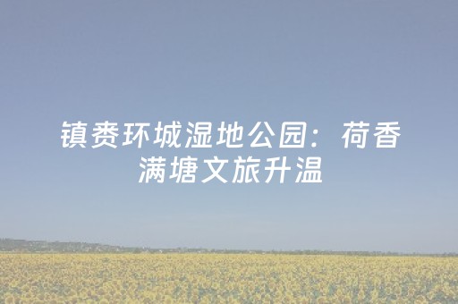 软件神器优选!人人燕赵麻将有什么规律(如何提高胜率)