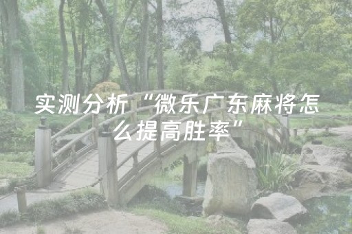 实测分析“微乐广东麻将怎么提高胜率”（详细辅助教程）-哔哩哔哩