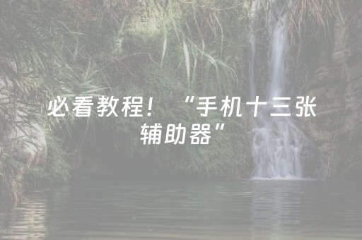 必看教程！“手机十三张辅助器”（详细开挂教程）-哔哩哔哩