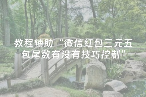 教程辅助“微信红包三元五包尾数有没有技巧控制”（详细透视教程）-哔哩哔哩