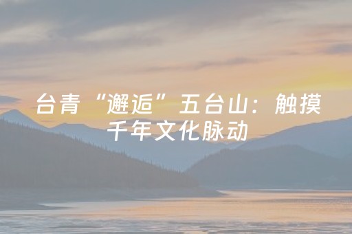 台青“邂逅”五台山：触摸千年文化脉动