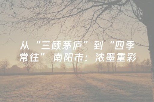 从“三顾茅庐”到“四季常往” 南阳市：浓墨重彩绘就文旅新画卷