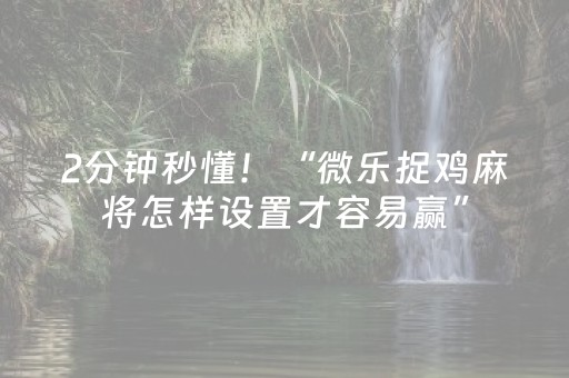 2分钟秒懂！“微乐捉鸡麻将怎样设置才容易赢”（详细辅助教程）-哔哩哔哩