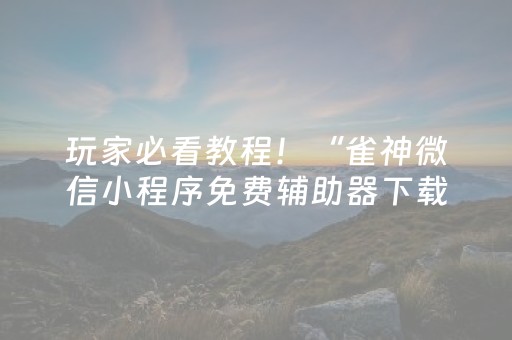 玩家必看教程！“雀神微信小程序免费辅助器下载”（详细开挂教程）-哔哩哔哩