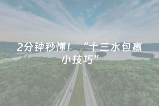2分钟秒懂！“十三水包赢小技巧”（详细辅助教程）-哔哩哔哩
