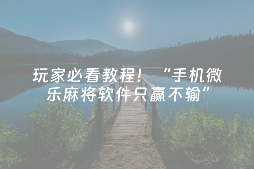 玩家必看教程！“手机微乐麻将软件只赢不输”（详细辅助教程）-哔哩哔哩