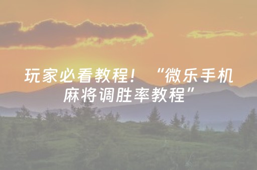玩家必看教程！“微乐手机麻将调胜率教程”（详细辅助教程）-哔哩哔哩