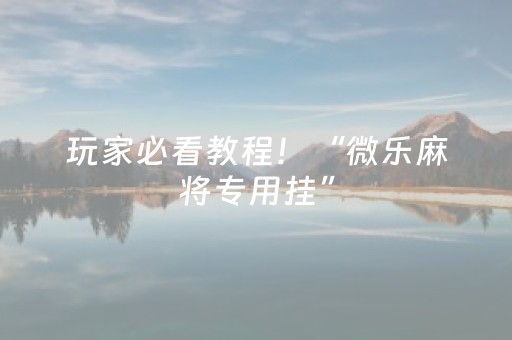 玩家必看教程！“微乐麻将专用挂”（详细透视教程）-哔哩哔哩