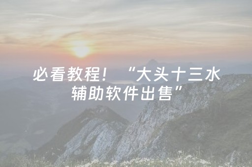 必看教程！“大头十三水辅助软件出售”（详细辅助教程）-哔哩哔哩