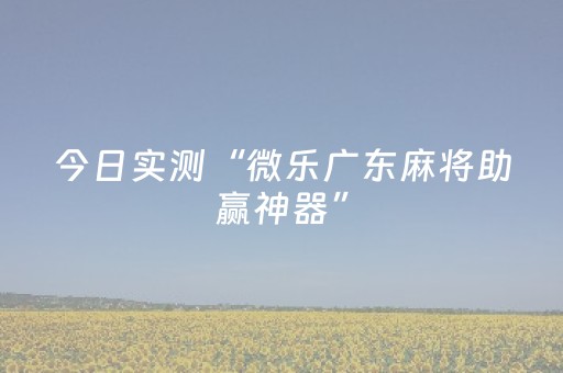 今日实测“微乐广东麻将助赢神器”（详细透视教程）-哔哩哔哩