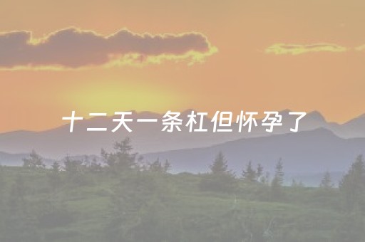 十二天一条杠但怀孕了（试管十二天一条杠但怀孕了）
