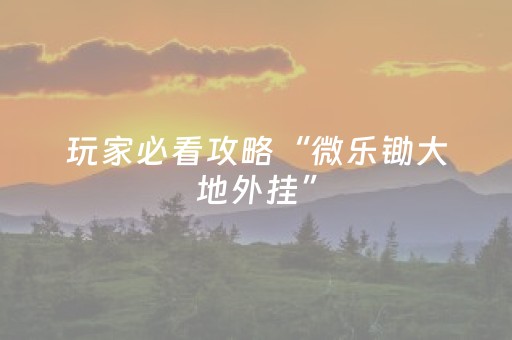 玩家必看攻略“微乐锄大地外挂”（详细透视教程）-哔哩哔哩