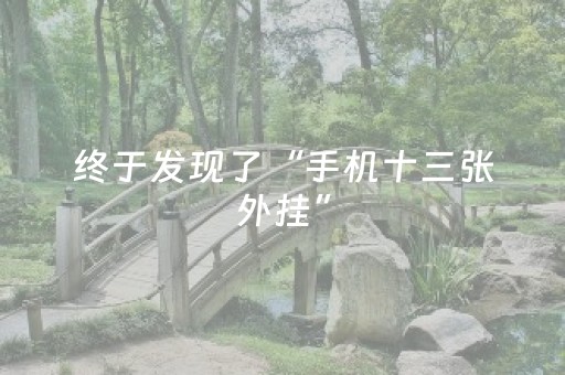 终于发现了“手机十三张外挂”（详细透视教程）-哔哩哔哩