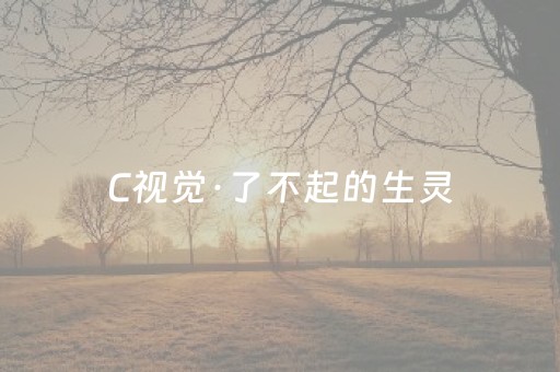 胜率设置方法“万能麻将开挂”（怎么让系统给自己好牌)