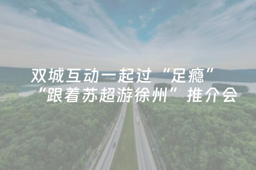 玩家必备十款“微信小程序浙江麻将辅助插件”（做弊器软件下载)